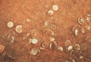 火燒山窯址原始瓷地層堆積