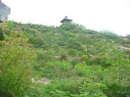 魚山景觀 魚山景觀