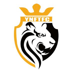 麗江飛虎足球隊 麗江飛虎足球隊