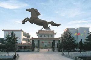 中國神馬集團有限責任公司 中國神馬集團有限責任公司