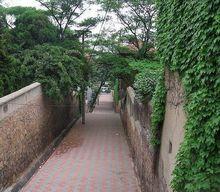 棲霞路[山東省青島市棲霞路]