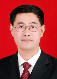 龐飛[四川省綿陽市涪城區人大副主任]