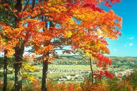 我的四季[張潔寫作散文]