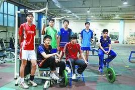 北京排球隊 北京排球隊