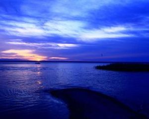 烏倫古湖 烏倫古湖