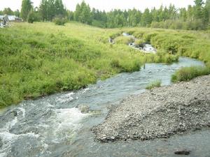 1980年7月26日 1980年7月26日