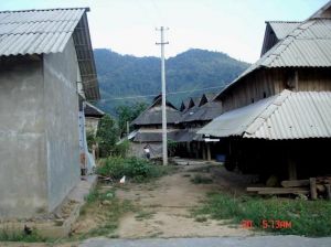 王四龍村 王四龍村