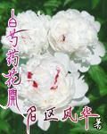 白芍藥花開 白芍藥花開