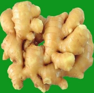 生薑