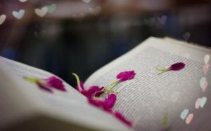 如果當時放手 如果當時放手