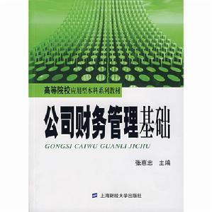 公司財務管理基礎 公司財務管理基礎