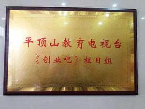 平頂山市新華區電子商務產業園