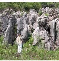 西山靈石 西山靈石