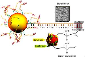 中國科學院上海生命科學研究院