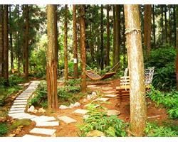 石壁森林遊樂區 石壁森林遊樂區