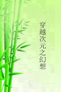 穿越次元之幻想 穿越次元之幻想