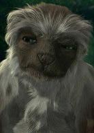 恐龍[美國2000年埃里克·萊頓執導動畫電影]