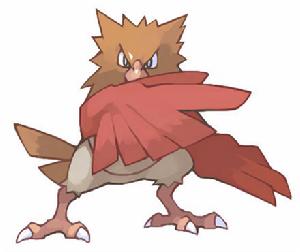 Spearow Spearow