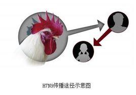 有限人傳人 有限人傳人