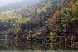 大岕口村 大岕口村