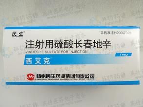 注射用硫酸長春地辛 注射用硫酸長春地辛