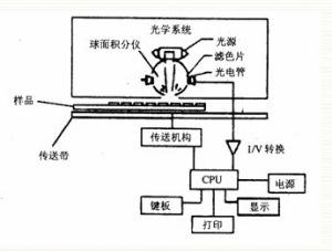 尿亞硝酸鹽試驗