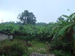 忙乾自然村 忙乾自然村