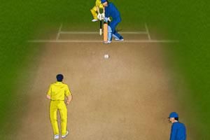 2011板球大賽 2011板球大賽