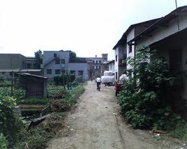 中洲路街道 中洲路街道