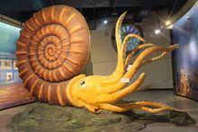 大連貝殼博物館