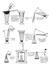 實驗室繁殖觀察肝片形吸蟲