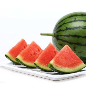 桑梓鎮精品西瓜產業園