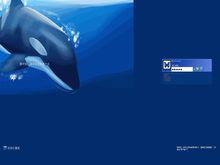 小藍鯨