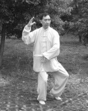 楊式太極入門拳 楊式太極入門拳