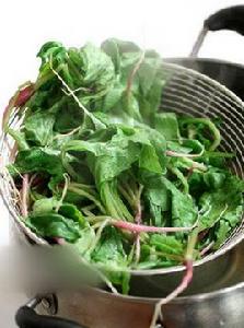 拌水蘿蔔纓 拌水蘿蔔纓