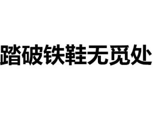 踏破鐵鞋無覓處 踏破鐵鞋無覓處