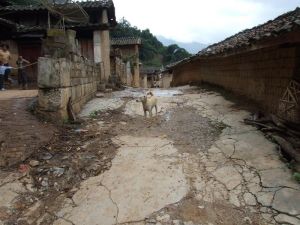 黃櫟樹村 黃櫟樹村