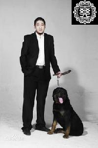 掛念[爽子演唱的網路歌曲]