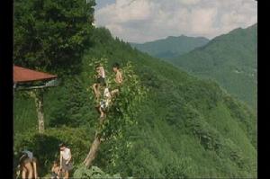 《萌動的朱雀》