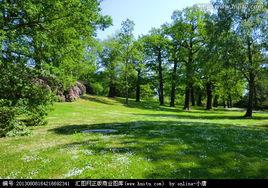 自然植被 自然植被