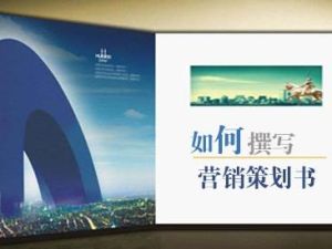 行銷策劃書 行銷策劃書