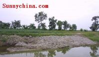 天津古海岸與濕地國家級自然保護區