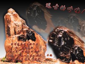 江在勛 作品《遠古的呼喚》矽化木