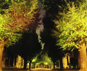 新制東京大學文學部 - 第四屆東大文學部攝影優秀作品選