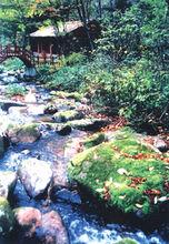 蒼龍山原始森林公園