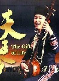 天琴[2013年江秀佳導演電影]