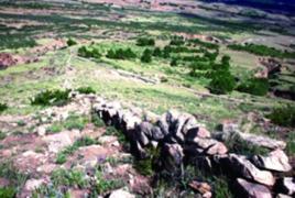 老虎山文化 老虎山文化