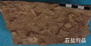 假晶現象 假晶現象