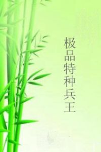 極品特種兵王 極品特種兵王