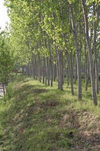 隋唐大運河故道